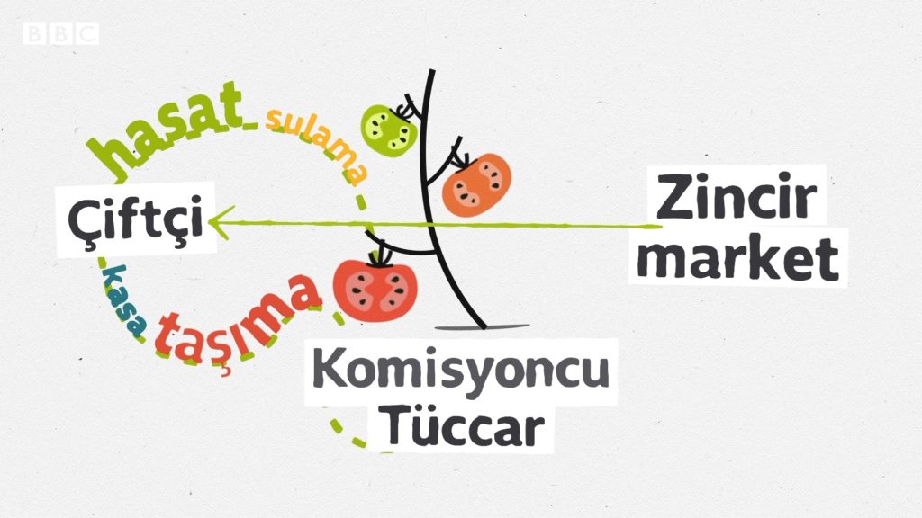 Sebze ve meyve fiyatları tarladan sofraya gelene kadar neden katlanıyor?