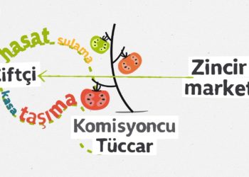 Sebze ve meyve fiyatları tarladan sofraya gelene kadar neden katlanıyor?