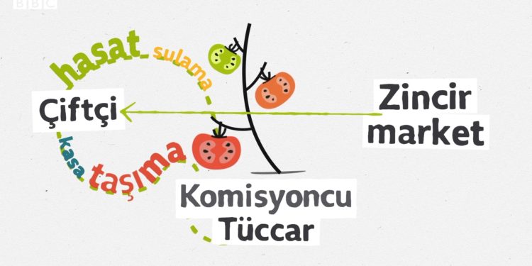 Sebze ve meyve fiyatları tarladan sofraya gelene kadar neden katlanıyor?