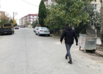 'Seri kedi katili' için özel ekip kuruldu