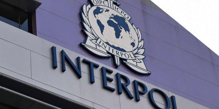 Sivil toplum örgütlerinden Interpol'e çağrı: Reform yapın
