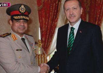 Steven Cook: Sisi’den Erdoğan’a… Neden diktatörler her zaman yasaya saygılı görünmeyi sever?