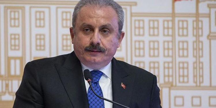 TBMM Başkanı Şentop, ‘tek adam’ eleştirilerine böyle cevap verdi: Size göre kaç adam olmalı?