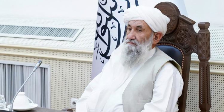 Taliban lideri Molla Hasan'dan yardım çağrısı