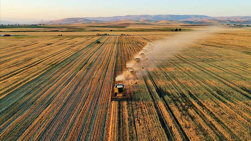 Tarımda üretici enflasyonu ekimde yıllık yüzde 23,10 arttı