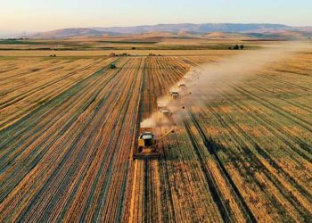 Tarımda üretici enflasyonu ekimde yıllık yüzde 23,10 arttı