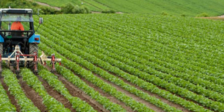 Tarımsal girdi fiyatları yıllık yüzde 27,79 arttı