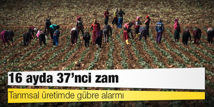 Tarımsal üretimde gübre alarmı: 16 ayda 37'nci zam