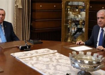 Tayyar'ın 'Sorosçu' dediği kişi Erdoğan'ın başdanışmanı mı?