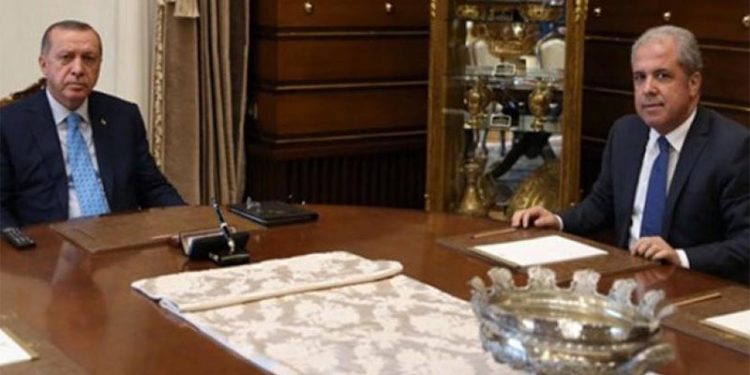 Tayyar'ın 'Sorosçu' dediği kişi Erdoğan'ın başdanışmanı mı?