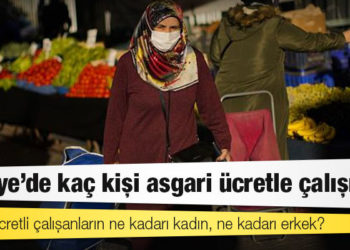 Türkiye’de asgari ücretle çalışan oranı son 20 yılda nasıl değişti?