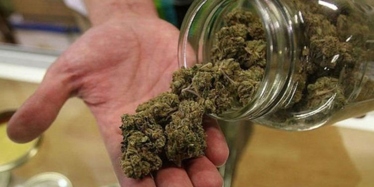 Uber, Kanada'da esrar piyasasına giriyor: Uygulama üzerinden siparişler teslim edilecek