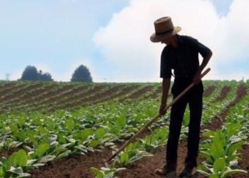 Yasa teklifi Meclis'e sunuldu: Ukraynalı çiftçileri kalkındırmak için destek verilecek
