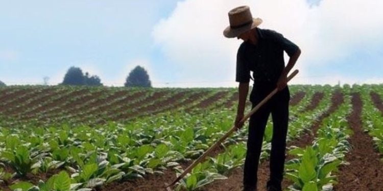 Yasa teklifi Meclis'e sunuldu: Ukraynalı çiftçileri kalkındırmak için destek verilecek