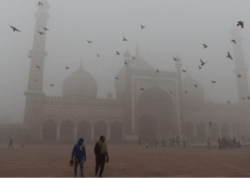 Yeni Delhi'de hava kirliliği nedeniyle okullar s&uuml;resiz kapatıldı