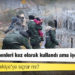Yeni göçmen rotası: Belarus krizi Türkiye'ye sıçrar mı?