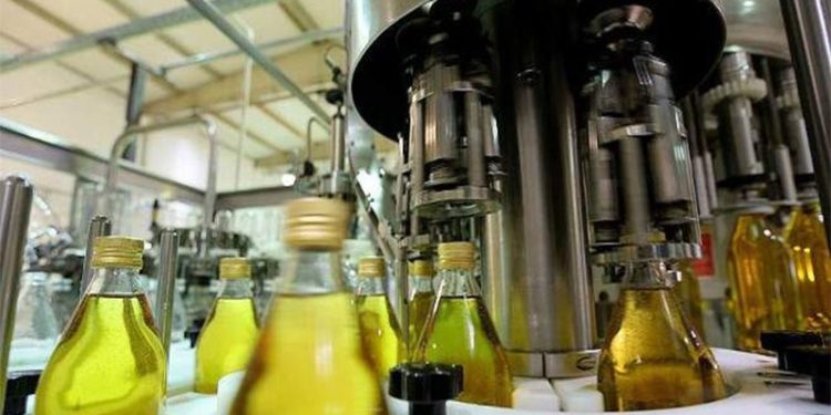 Zeytinyağı rekolte tahmininde düşüş beklentisi