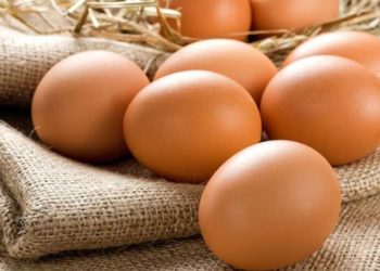 Üreticiler girdi maliyetlerindeki artışa dikkat çekti: Yumurtanın tanesi 2 TL olabilir
