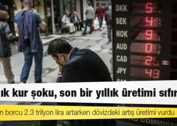 İki aylık kur şoku, son bir yıllık üretimi sıfırladı