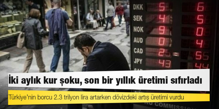 İki aylık kur şoku, son bir yıllık üretimi sıfırladı