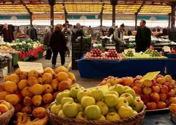 'İktidar bizi suçlu ilan ediyor, ancak gıdada dışa bağımlıyız'