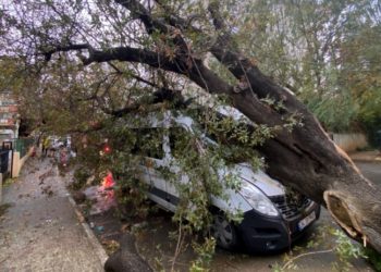 İstanbul’da fırtına bilançosu: 5 ölü, 46 yaralı