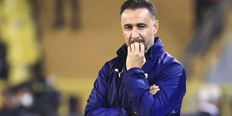 Şansal Büyüka: Pereira, Fenerbahçe'nin hocası değil