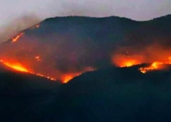 Şırnak’ta son 6 ayda ‘güvenlik’ gerekçesiyle 31 yangın çıkarıldı