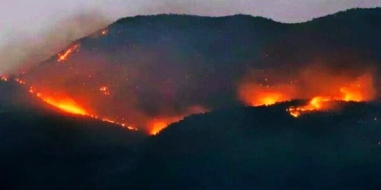 Şırnak’ta son 6 ayda ‘güvenlik’ gerekçesiyle 31 yangın çıkarıldı