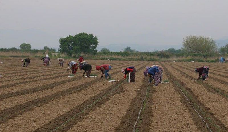 Çiftçi ve esnafta kriz: Sosyal güvenlik sisteminden gittikçe uzaklaşılıyor