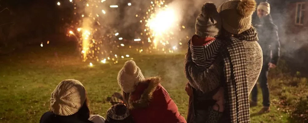 İngiltere'de hayvan hakları savunucuları: 'Havai fişek gösterileri yeniden düşünülmeli'