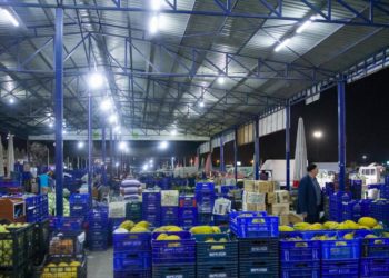 Sebze ve meyve fiyatlarında üretici-market farkı ne kadar?