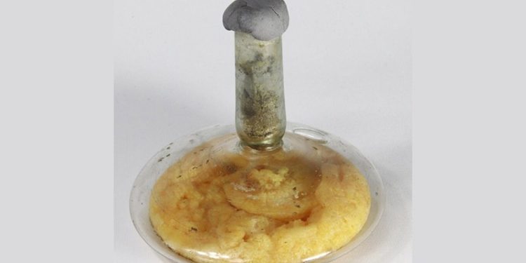 17 yüzyıllık cam fanustaki sıvı, zeytinyağı çıktı