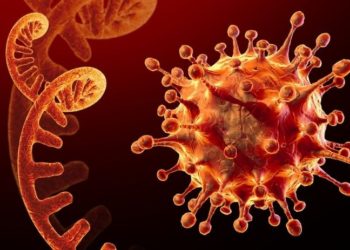 ABD'nin ilk Omicron varyantı vakası tespit edildi