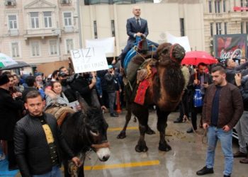 Aşı karşıtlarından deve ve eşekli protesto
