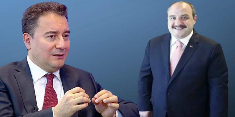 Bakan Varank Ali Babacan’a ‘köpek’ benzetmesi yaptı