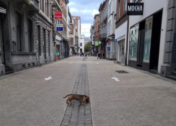 Belçika'da Omicron varyantı nedeniyle Covid-19 tedbirleri sıkılaştırıldı