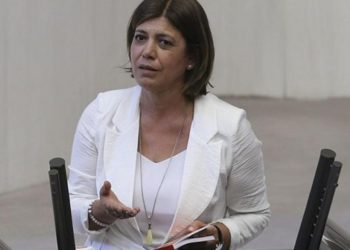 Beştaş: Demokratik devletin halka dayanması gerekir