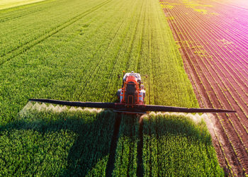 Bir Aktivistin Gözünden: Başka bir ekonomik düzen mümkün