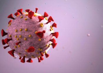 DSÖ'den Omicron varyantı uyarısı: Çok yüksek küresel risk oluşturuyor