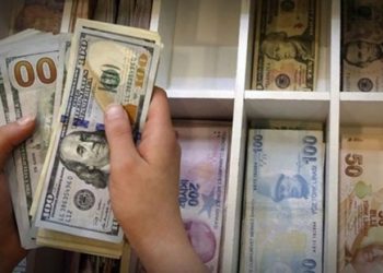 Dolar/TL 16’yı da gördü
