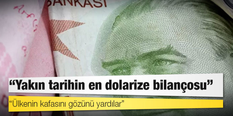 Dolar/TL: Ekonomistler, Erdoğan'ın 'yeni finansal alternatifini' nasıl yorumluyor?