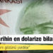 Dolar/TL: Ekonomistler, Erdoğan'ın 'yeni finansal alternatifini' nasıl yorumluyor?