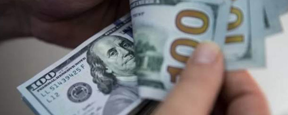 Dolar/TL kuru 13.38 seviyesini gördü, geçen haftaki kapanışa göre değer kaybı yüzde 20'ye ulaştı