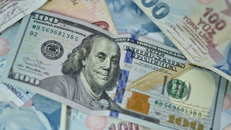 Dolar/TL'de yeni zirve: 14 TL sınırına dayandı