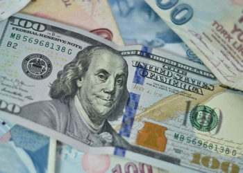 Dolar/TL'de yeni zirve: 14 TL sınırına dayandı
