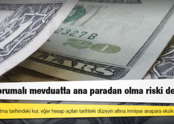 Dünya yazarı Alaattin Aktaş: ‘Kur korumalı mevduatta ana paradan olma riski de var’