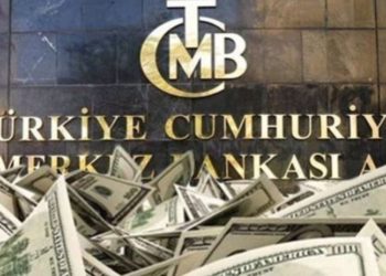 Ekonomist Demir'den Merkez Bankası eleştirisi: Böyle devam ederse döviz atakları sürer