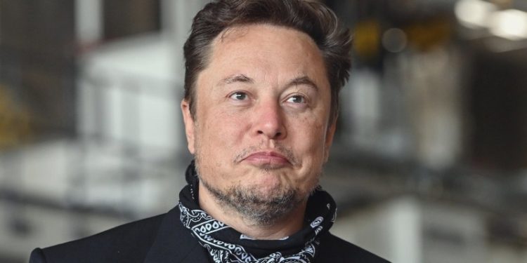 Elon Musk'ın Noel paylaşımı, Floki Inu'nun değerini katladı