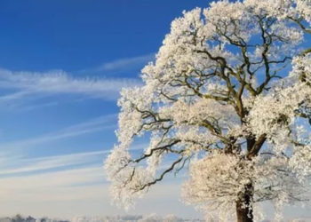 En uzun gece: Kış gündönümü tarih boyunca neden ve nasıl kutlandı?